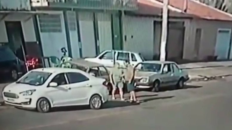 Reprodução