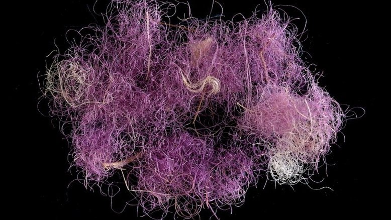 Tecidos roxos de 3.000 anos são descobertos em Israel