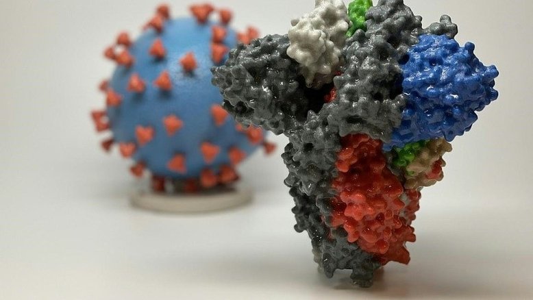 National Institutes of Health/AFP/Arquivos