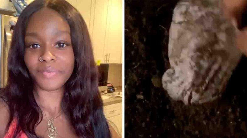 Montagem / Reprodução / Instagram