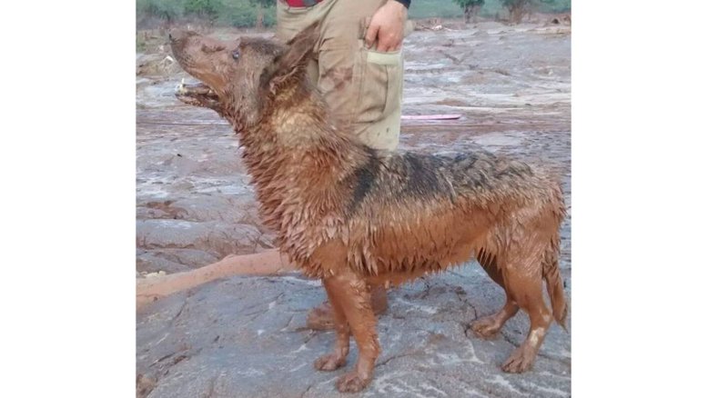 Reprodução/ Facebook