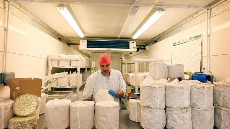 Do IVA aos certificados sanitários, Reino Unido paga o custo do Brexit