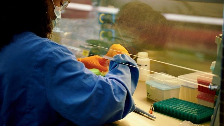 Cientistas investigam pessoas imunes à Covid-19