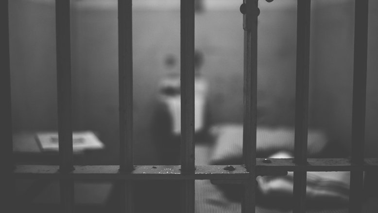 Reprodução/Pixabay