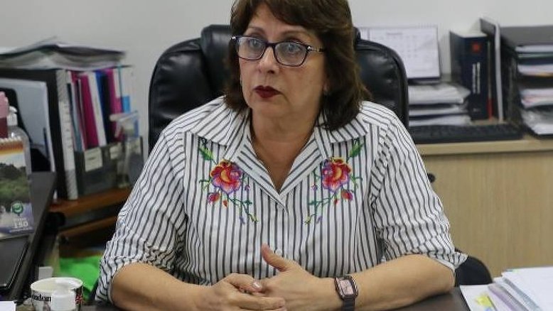 Divulgação