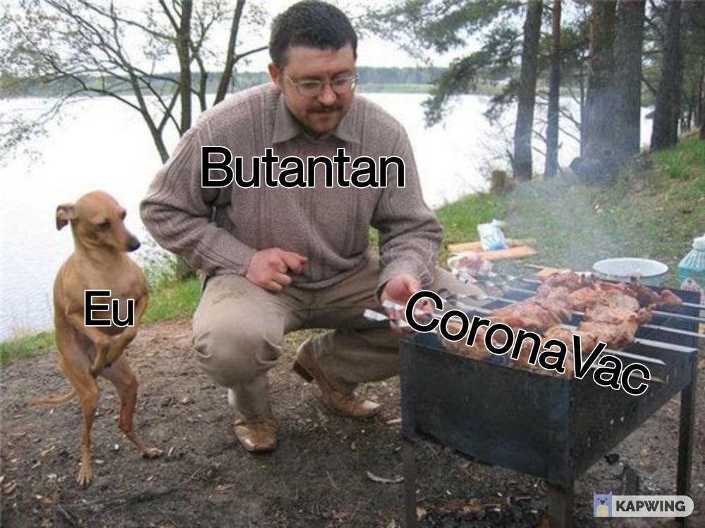 Liberação da Coronovac gera chuva de memes e piadas nas redes sociais
