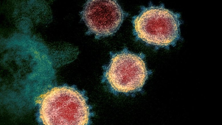 National Institutes of Health/AFP/Arquivos