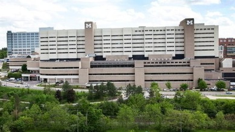 Divulgação/Universidade Michigan