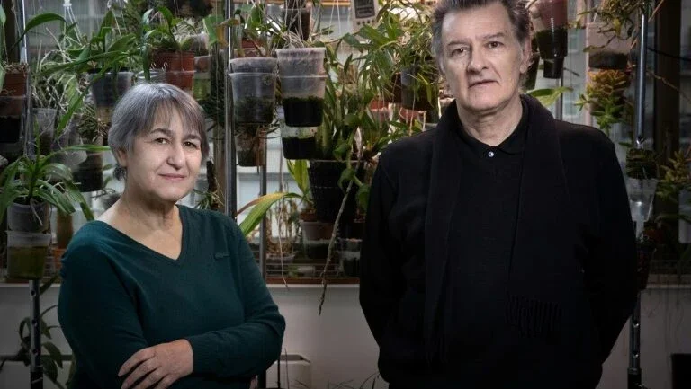 Dupla francesa vence Pritzker, o maior prêmio da arquitetura mundial