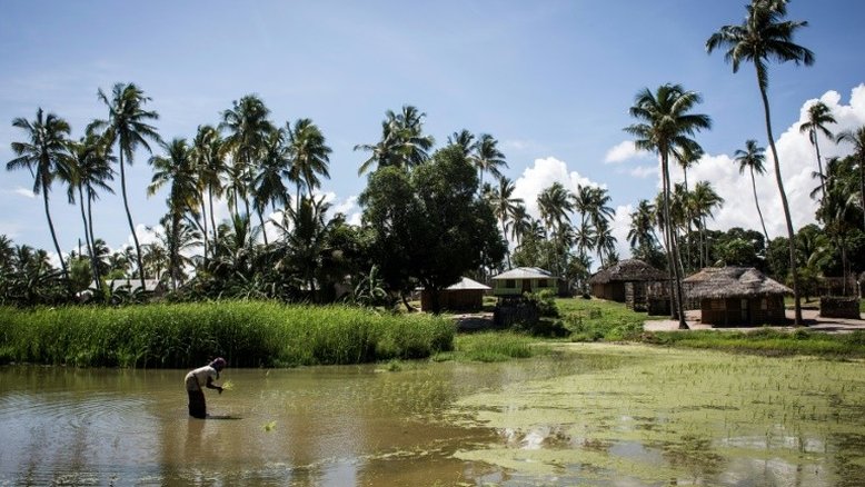 Extremistas tomam cidade rica em gás em Moçambique
