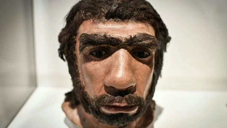 Neandertais ouviam tão bem quanto os homo sapiens, diz estudo