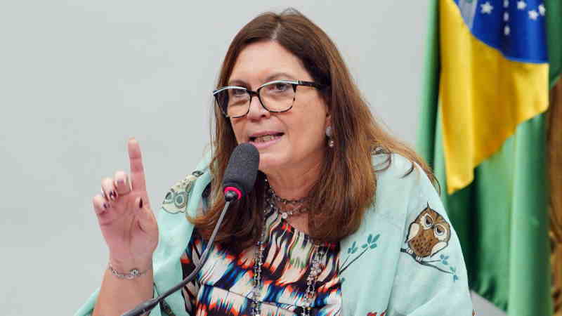 Além de Bia Kicis, outros deputados bolsonaristas apoiam motim de PMs na BA  - Politica - Estado de Minas