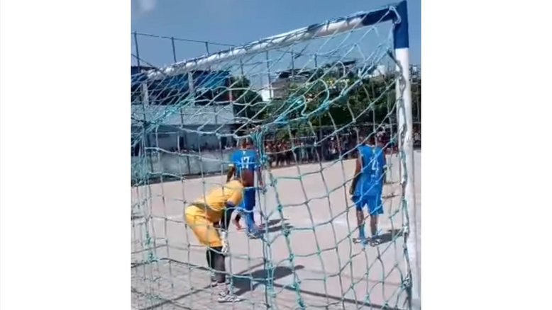 Reprodução