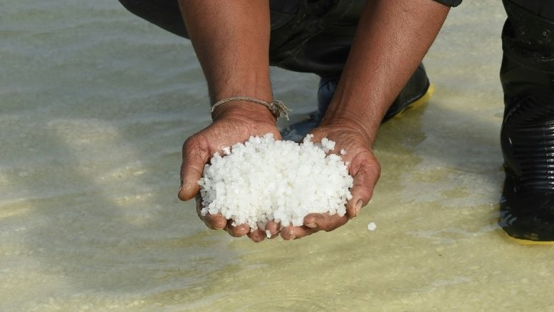 Produtores de sal do deserto da Índia sofrem com os efeitos das mudanças climáticas