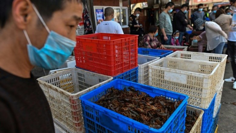 'Paciente zero' de Covid veio de mercado em Wuhan, diz estudo