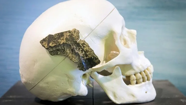Genes da criatividade deram ao Homo sapiens vantagem sobre os neandertais, segundo estudo