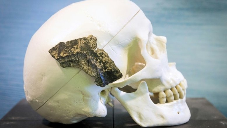 Genes da criatividade deram ao Homo sapiens vantagem sobre os neandertais, segundo estudo