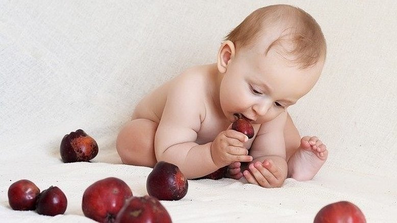 Como, quando e qual deve ser o 1º alimento na introdução alimentar do bebê?