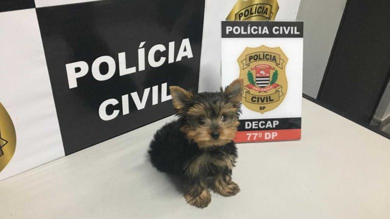 Divulgação/ PCSP