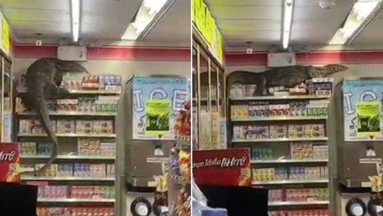 Reprodução/Twitter 