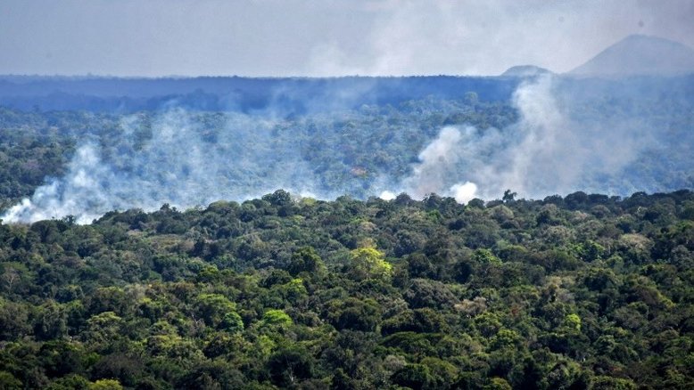 População de Manaus avalia que floresta em pé contribui para economia