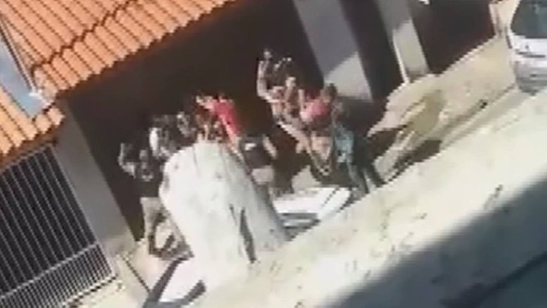 Reprodução