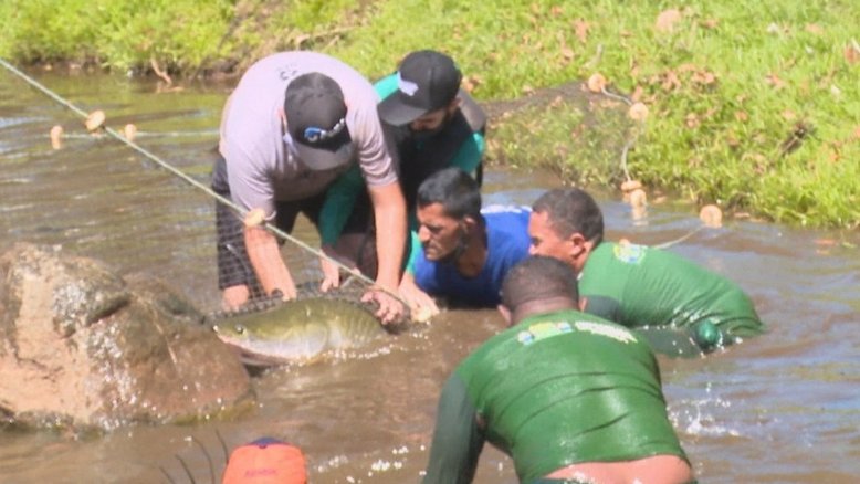 Reprodução/TV Anhanguera