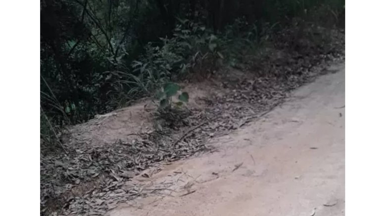 Divulgação/ Polícia Civil