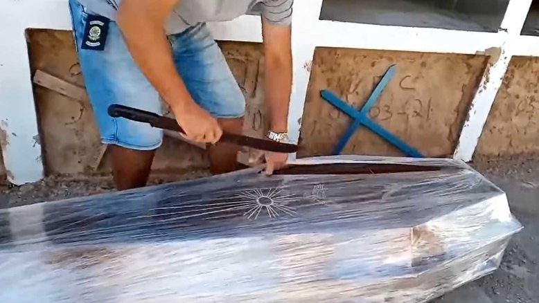 Reprodução