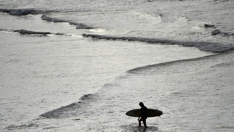 Surfista morre após ataque de tubarão na Austrália