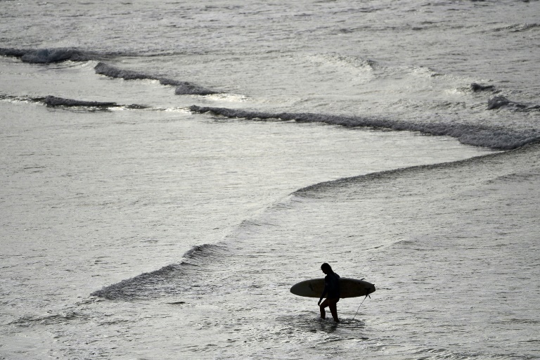 Surfista morre após ataque de tubarão na Austrália