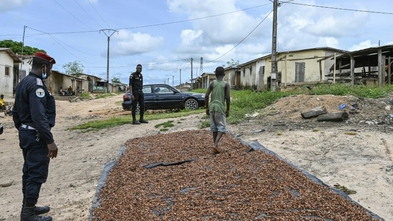 Costa do Marfim condena 22 pessoas por trabalho infantil em plantações de cacau