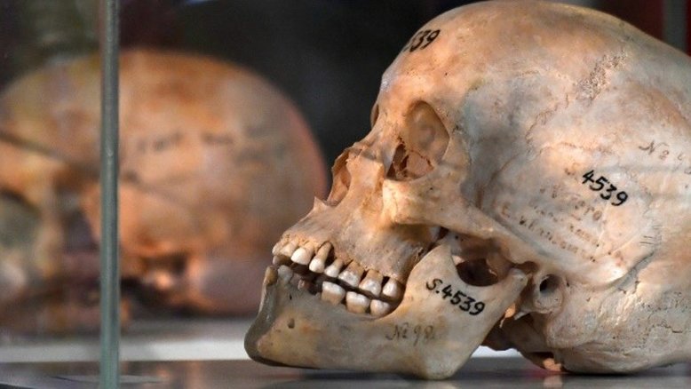 Namíbia afirma que reconhecimento da Alemanha de genocídio é "passo na direção correta"