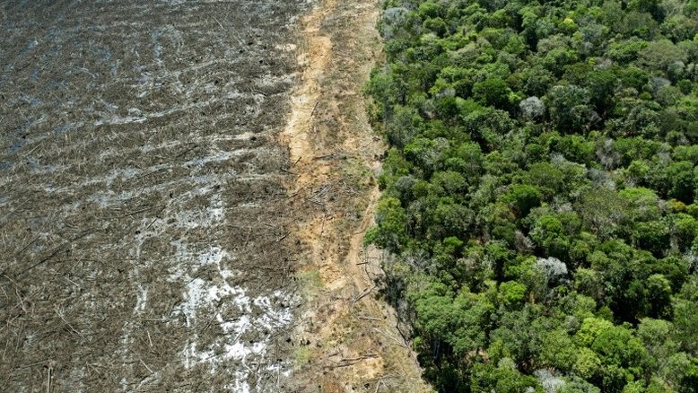 Desmatamento da Amazônia brasileira bate recorde em outubro