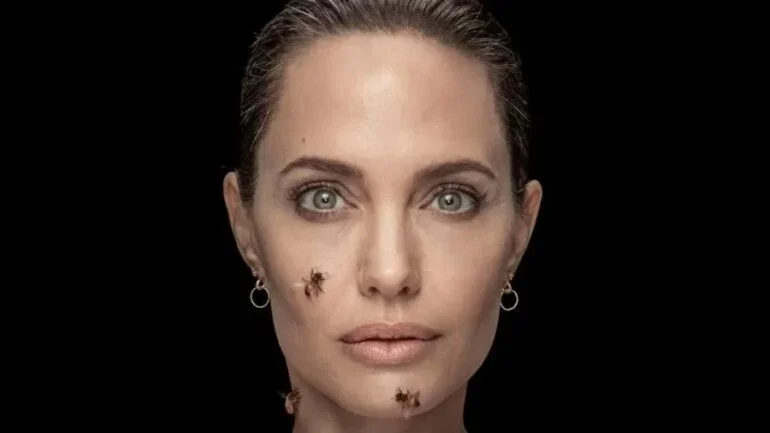 Angelina Jolie ficou dias sem tomar banho por foto com abelhas