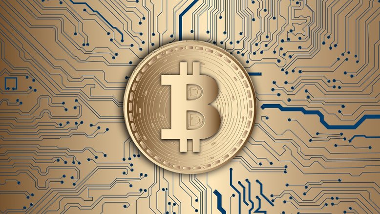 Brasileiro fica milionário após investir toda a sua poupança em criptomoeda de meme