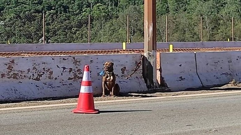 Divulgação/Via 040