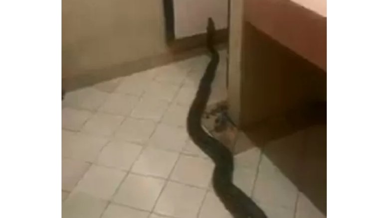 Reprodução/ Facebook