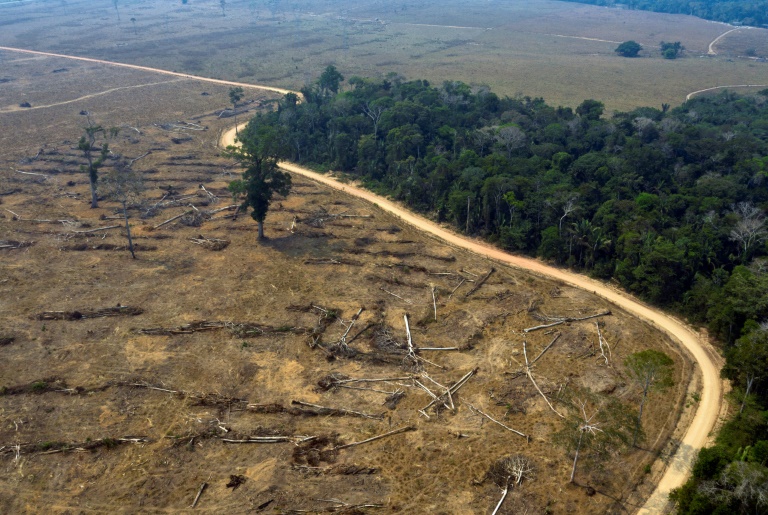 Relatório aponta que 94% do desmatamento na Amazônia brasileira é ilegal
