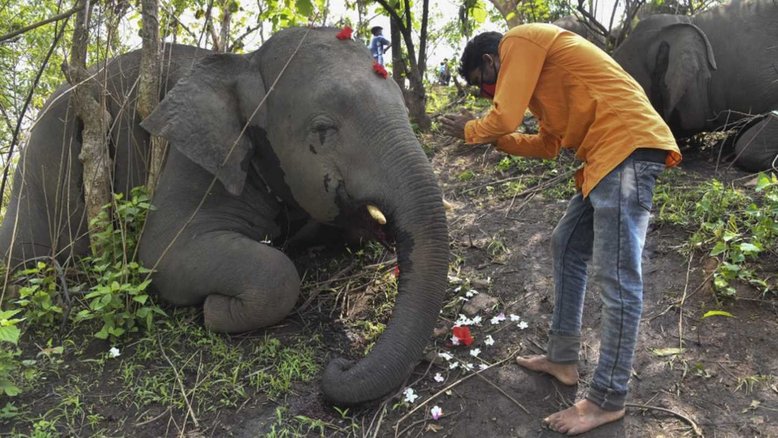 Biju Boro / AFP