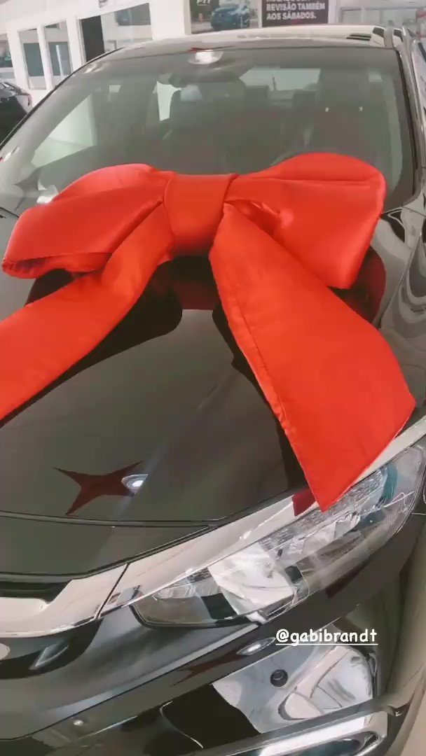 Mãe de Gabi Brandt ganha carro de luxo da filha 4 Mãe de Gabi Brandt ganha carro de luxo da filha