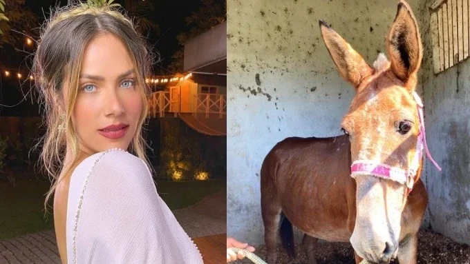 Reprodução/Instagram