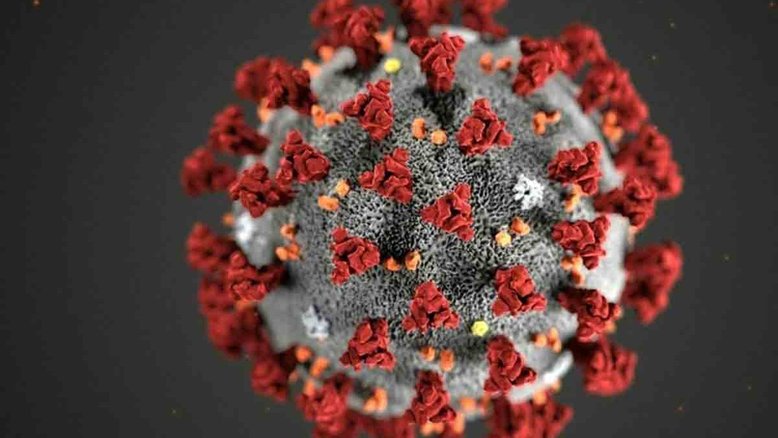O coronavírus aparentemente não infecta as células do cérebro. Ainda assim, pode causar sequelas neurológicas