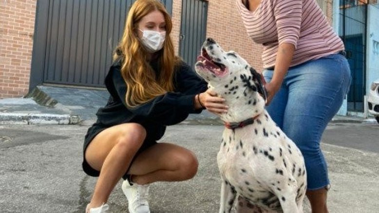 Marina Ruy Barbosa adota cão surdo resgatado na rua: 'Novo amigo'