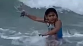 Vídeo: Menina de 6 anos se depara com tubarão em praia do Havaí
