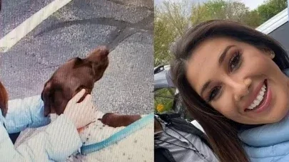 EUA: repórter que noticiava furto de cão encontra animal ao vivo