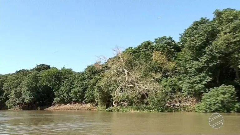 Reprodução/TV Morena