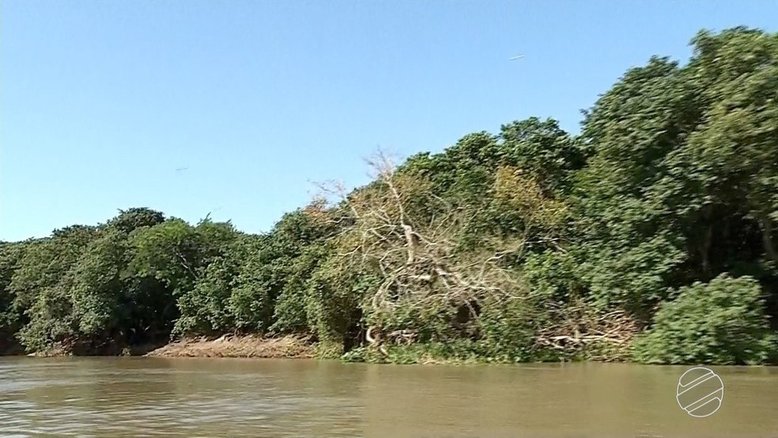 Reprodução/TV Morena