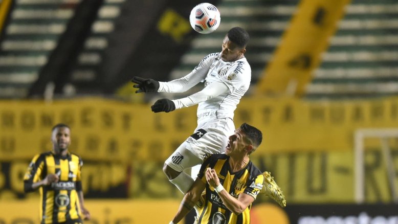 Divulgação/Santos FC