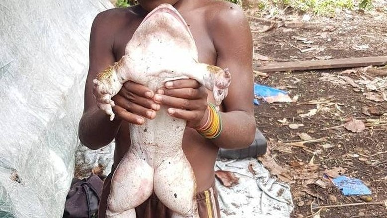 Reprodução/Facebook